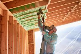 Best Insulation for New Construction  in Lehigh Acres, FL