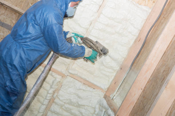 Professional Insulation Installation & Removal in Lehigh Acres, FL