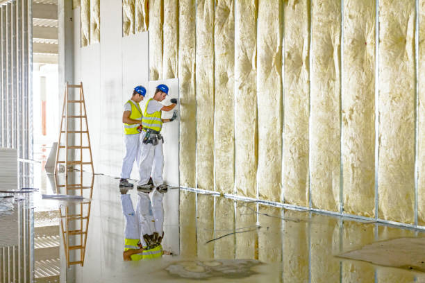 Best Insulation for New Construction  in Lehigh Acres, FL